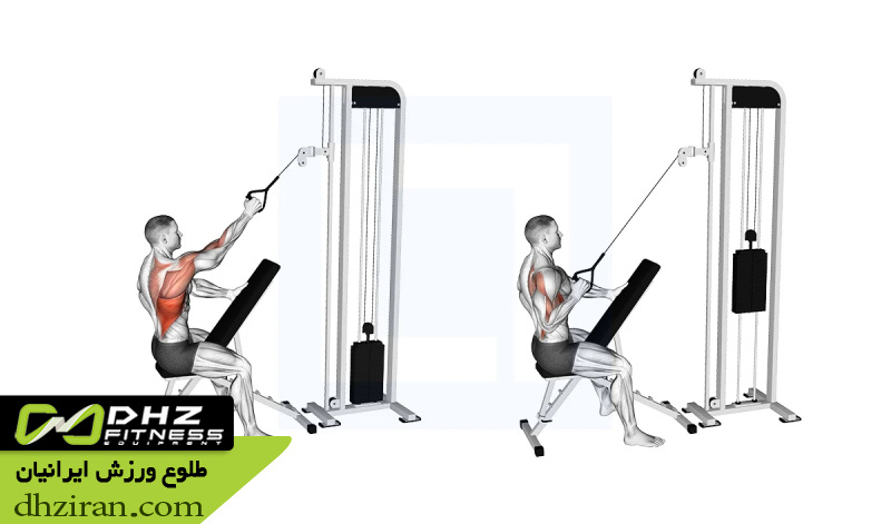 کشیدن سیم کش تک دست به سمت پشت (Single Arm Cable Row): 	2